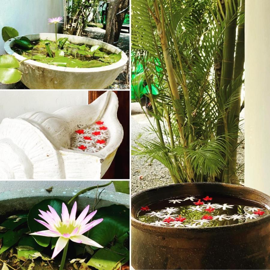 Rituale Guest House - Surf & Yoga 米瑞莎 外观 照片